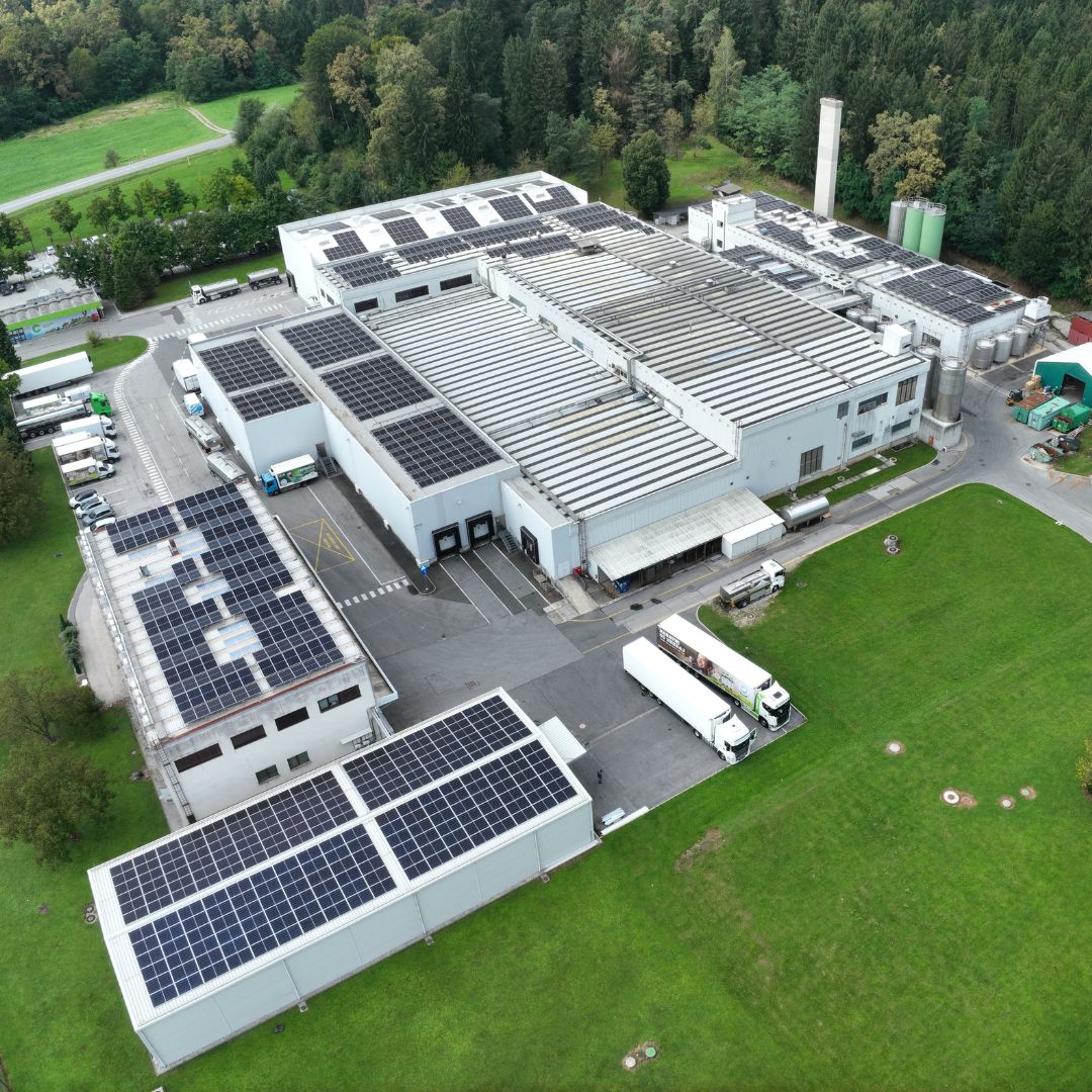 Izdelek brez naslova